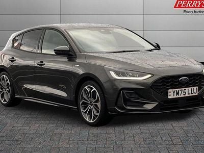 Used Ford Focus ST-Line X 155 HP (114 kW) 2024 Hatchback
