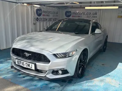 Used Ford Mustang