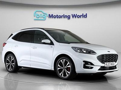 Used Ford Kuga ST-Line X 150 HP (110 kW) 2023 White SUV