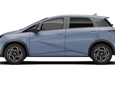 New BYD Dolphin Design 150 kW (204 HP) 2026 Hatchback