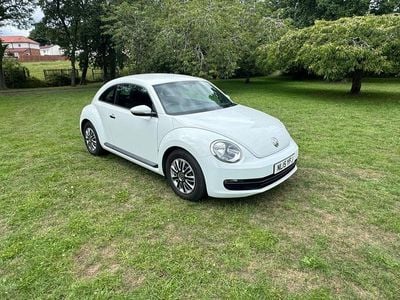 VW Beetle
