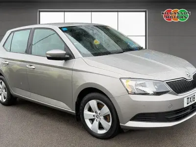 Used Skoda Fabia SE 110 HP (80 kW) 2018 Beige Hatchback