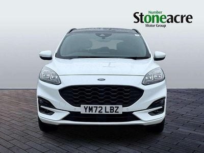 Used Ford Kuga ST-Line 221 HP (162 kW) 2023 Silver SUV