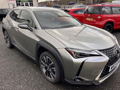Used Lexus UX 184 HP (135 kW) 2023 SUV