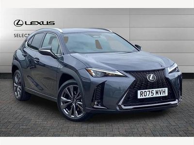 Used Lexus UX 300h Sport Design Packet 199 HP (146 kW) 2025 Grey SUV