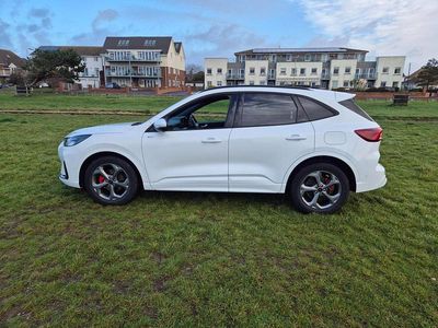 Used Ford Kuga ST-Line 2024 White SUV
