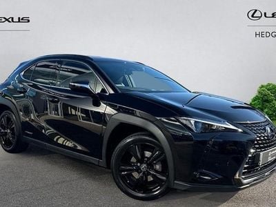 Used Lexus UX 250h 184 HP (135 kW) 2024 SUV
