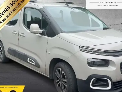 Used Citroën Berlingo Flair 130 HP (95 kW) 2019 Beige MPV
