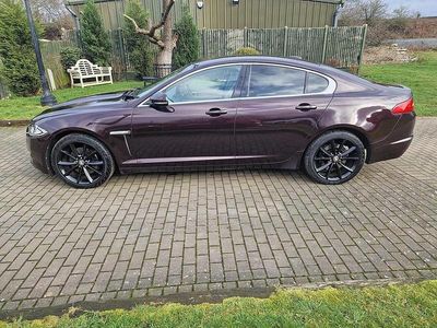 Used Jaguar XF Premium Luxury 190 HP (139 kW) 2011 Red Sedan
