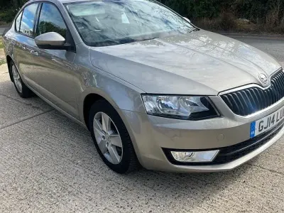 Used Skoda Octavia SE 140 HP (102 kW) 2014 Gold Estate