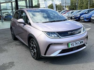 BYD Dolphin