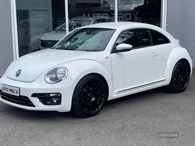 VW Beetle
