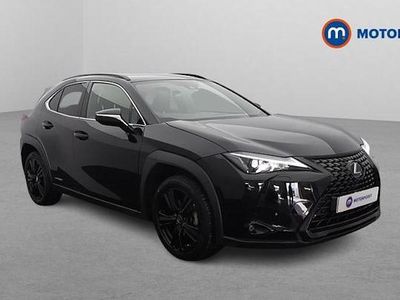 Used Lexus UX 250h 184 HP (135 kW) 2024 SUV