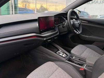 Used Skoda Octavia 2025 Estate