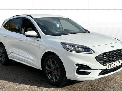 Used Ford Kuga ST-Line 150 HP (110 kW) 2023 White SUV