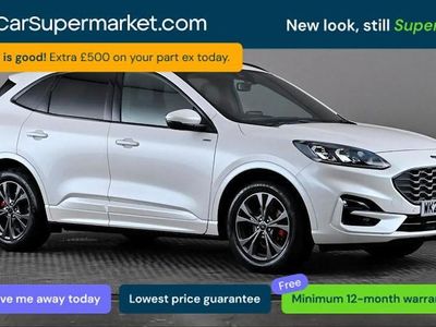 Used Ford Kuga ST-Line 150 HP (110 kW) 2023 White SUV