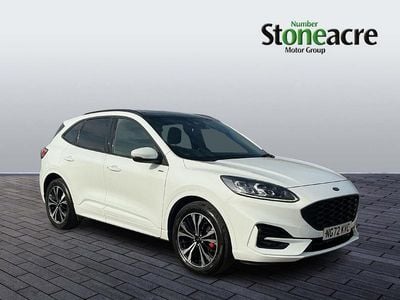 Used Ford Kuga ST-Line X 190 HP (139 kW) 2023 White SUV