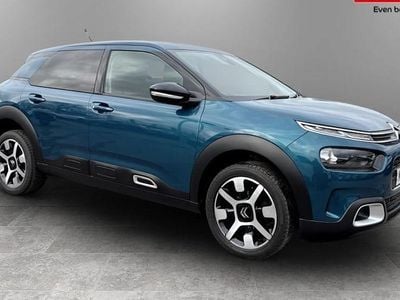 Used Citroën C4 Cactus Flair 102 HP (75 kW) 2020 Hatchback