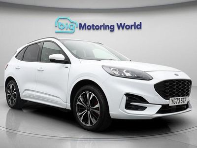 Used Ford Kuga ST-Line X 225 HP (165 kW) 2023 White SUV