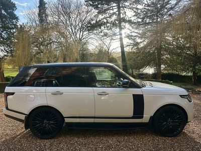 Used Land Rover Range Rover Vogue SE 339 HP (249 kW) 2016 White SUV