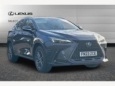 Used Lexus NX350h 245 HP (180 kW) 2023 Grey SUV