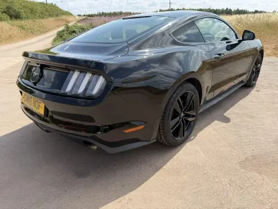 Used Ford Mustang