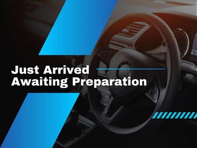 Used Ford Transit Custom Limited 136 HP (100 kW) 2024 Grey Van