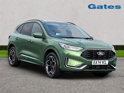 Used Ford Kuga ST-Line X 183 HP (134 kW) 2024 Green SUV