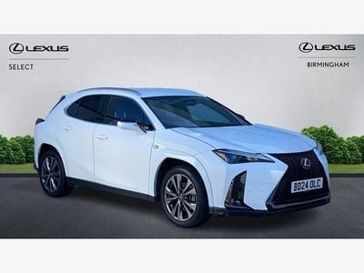 Used Lexus UX 300h Sport Line 2024 White SUV