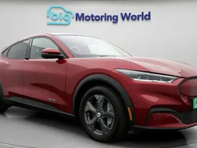 Used Ford Mustang Extended Range 294 HP (216 kW) 2022 Estate