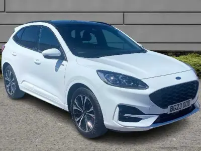 Used Ford Kuga ST-Line X 225 HP (165 kW) 2023 White SUV