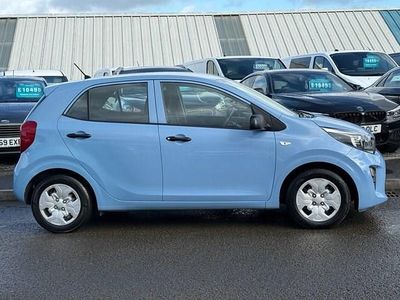Used Kia Picanto 66 HP (48 kW) 2020 Blue Hatchback