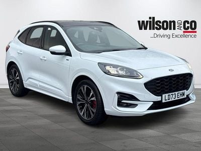 Used Ford Kuga ST-Line X 2023 White SUV