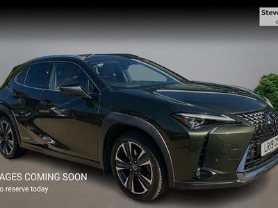 Used Lexus UX 250h 184 HP (135 kW) 2024 SUV