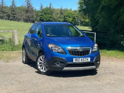 Used Vauxhall Mokka 115 HP (84 kW) 2014 Blue SUV