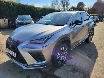 Used Lexus NX300h Sport Line 2021 Silver SUV