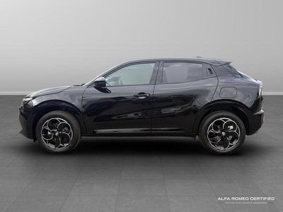 Alfa Romeo Junior