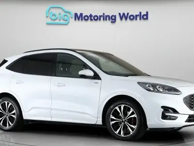 Used Ford Kuga ST-Line X 150 HP (110 kW) 2023 White SUV