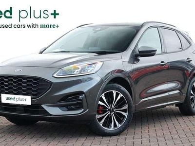 Used Ford Kuga ST-Line X 225 HP (165 kW) 2024 Grey SUV