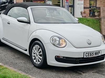 VW Beetle