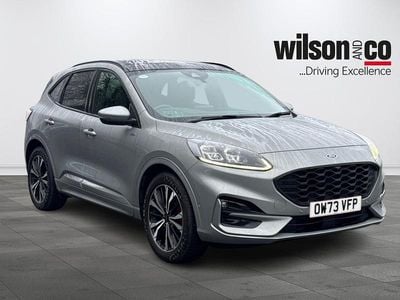 Used Ford Kuga ST-Line X 150 HP (110 kW) 2023 Silver SUV