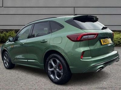 Used Ford Kuga ST-Line 239 HP (175 kW) 2025 Green SUV