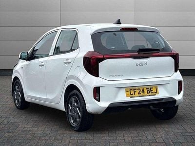 Used Kia Picanto 61 HP (44 kW) 2024 White Hatchback