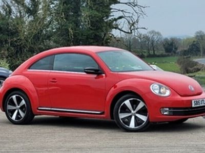 VW Beetle