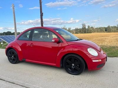 VW Beetle