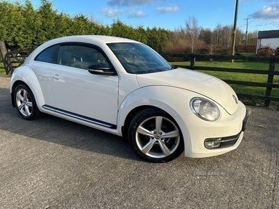 VW Beetle