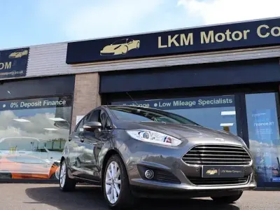 Used Ford Fiesta Titanium 75 HP (55 kW) 2016 Grey Hatchback