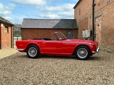 used Triumph TR5 