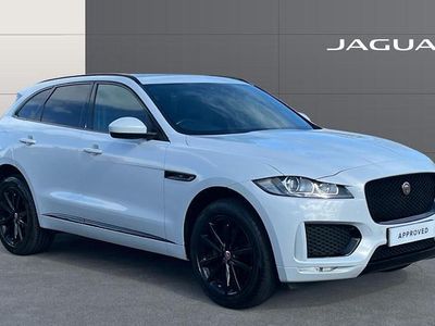 Used Jaguar F-Pace Chequered Flag 180 HP (132 kW) 2020 White SUV