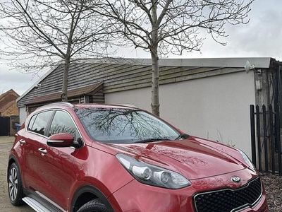 Used Kia Sportage 2016 Red SUV